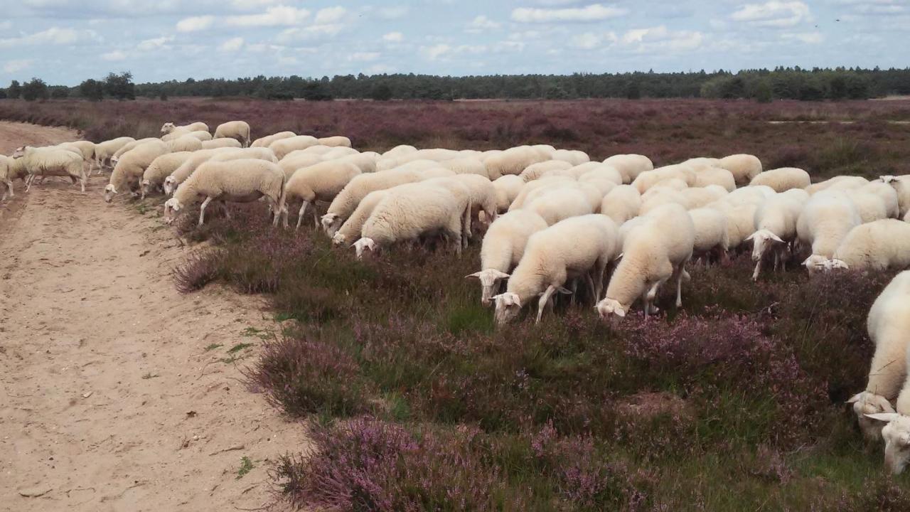 Poort Van De Veluwe Voorthuizen Eksteriør bilde