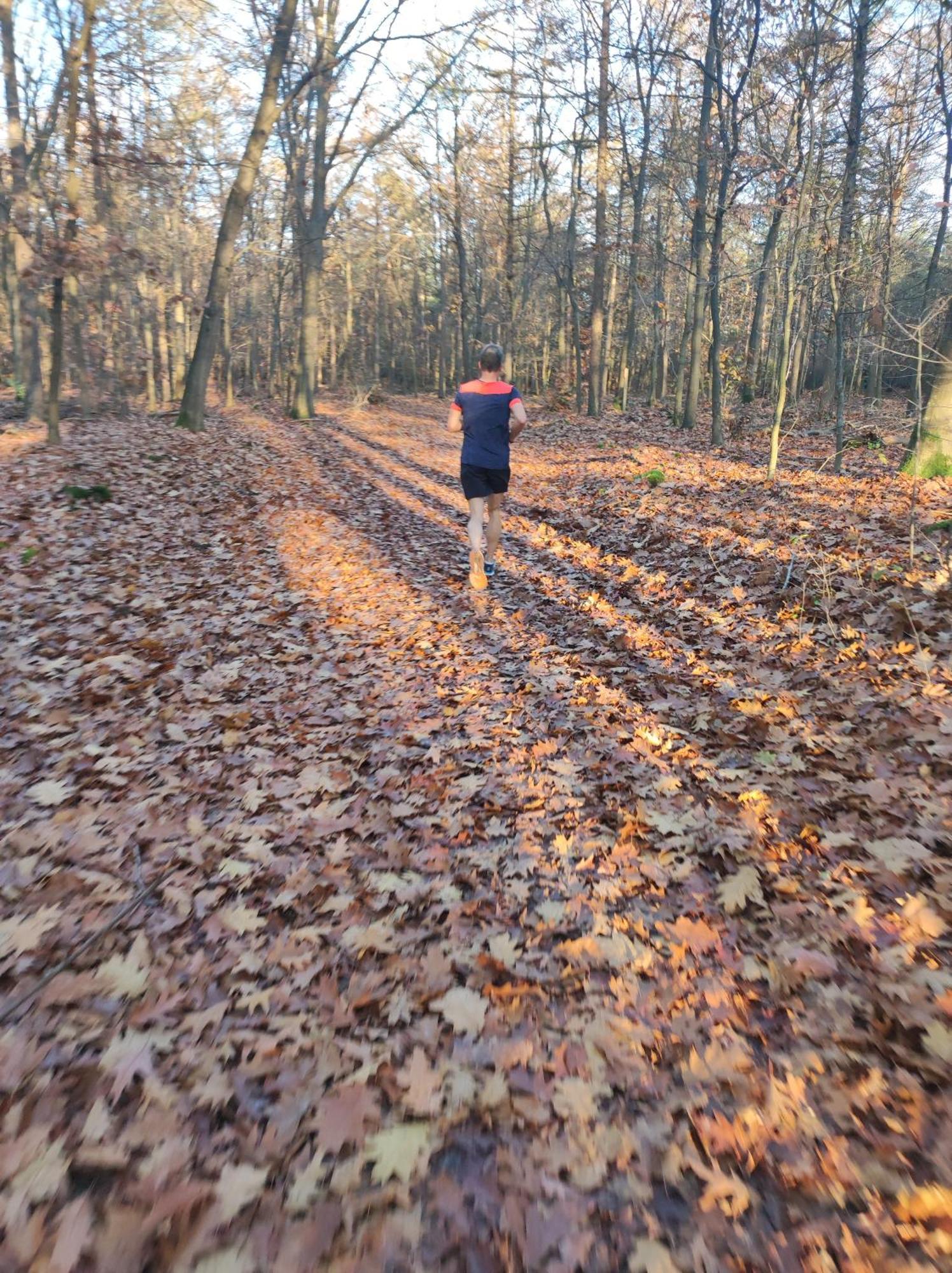 Poort Van De Veluwe Voorthuizen Eksteriør bilde